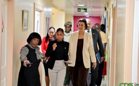 President Simons: Diplomatie moet economische groei Suriname versterken