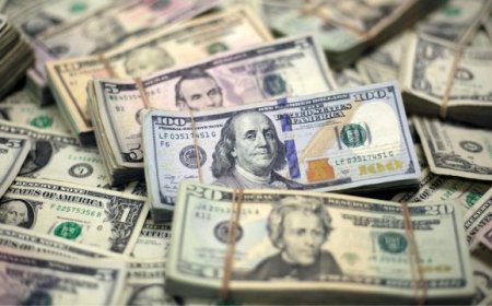 OM: in- of uitvoer van meer dan US$ 10.000 blijft economisch delict