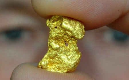 Buurtbewoners Commissaris Weythingweg hekelen vestiging Gold Grams