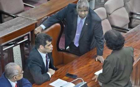 Hof van Justitie stelt oordeel over vervolging Hoefdraad uit tot november