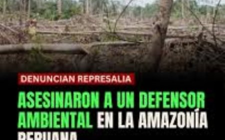 Milieuactivist vermoord in Peruaanse Amazonegebied