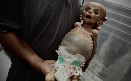 Palestijnen gedehumaniseerd: slechts nummers