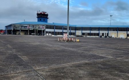 Passagier na aankomst op Zanderij meteen uitgeleverd op verzoek van Interpol