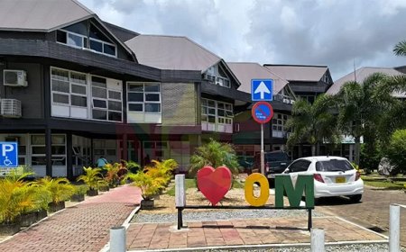 Tientallen medewerkers Openbaar Groen ontslagen; topfunctionarissen Financiën ontheven