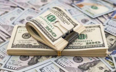 OM: Sancties op uitvoeren van 10.000 US dollar of meer