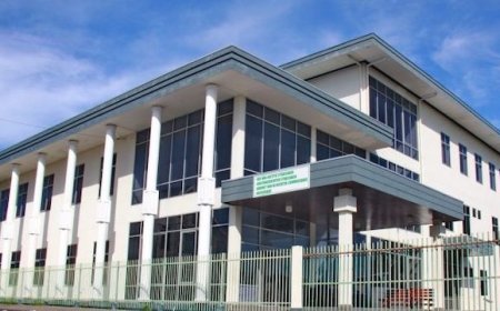 Diefstallen en vernielingen bij autohandel: verdachte aangehouden op heterdaad