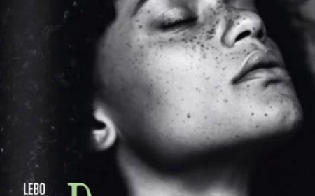 Recensie Chris Polanen: De handlezer (of: De dolphin kick)