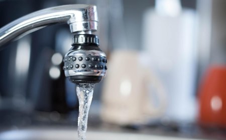 Fayalobi: Een beetje Afrika