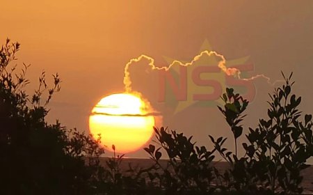 Column: Voor land en volk