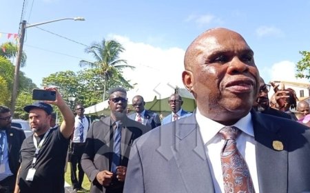 Vooruitgang in samenwerking tussen Caribisch gebied en Afrika