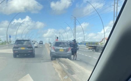 Geslaagd: Netjes op ‘de middenberm’ parkeren…