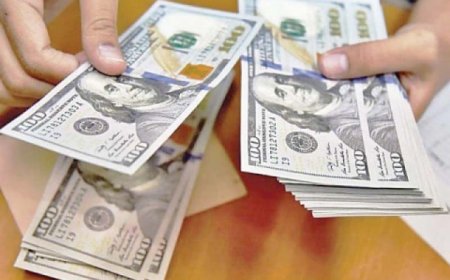 OM: ‘Reizen met meer dan USD 10.000 is strafbaar