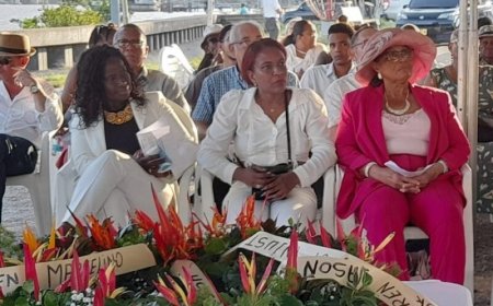 Na 35 jaar eindelijk ‘beweging’: Dochter Herman Gooding aangenaam verrast met gerechtelijk vo