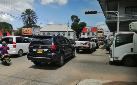 Mega files Henck Arronstraat en omgeving