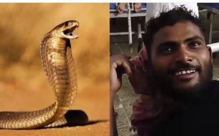 Man bijt slang terug na beten – Slang overleden, man in herstel