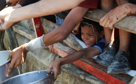 Wat 'uithongering' echt betekent – voor het menselijk lichaam én voor Gaza