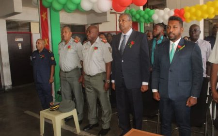 Panka : ‘Wij voelen ons vereerd’