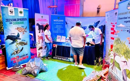 Natuurbeschermers enthousiast over Green Awareness Expo 2025: ‘Dit moet vaker gebeuren’