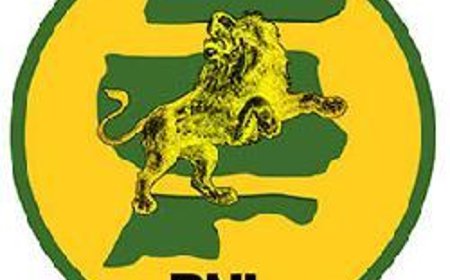 Goud, macht en misbruik: De strijd om Surinames economische ruggengraat