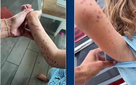 Opmerkelijk – Octopus grijpt jongetje (6) in aquarium in San Antonio, Texas (VS)