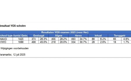 ‘Terug naar normaal’ lijkt desastreus voor examenresultaten VOS