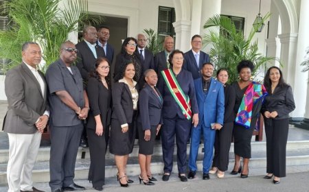 Vijftien leden Staatsraad beëdigd; VHP tekent protest aan