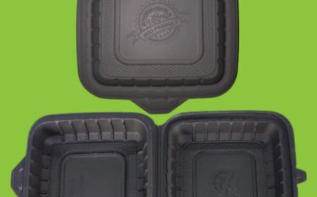 SURGE-programma stimuleert duurzame groei bij Surinaamse bedrijven