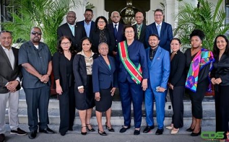 Nieuwe Staatsraad-leden beëdigd