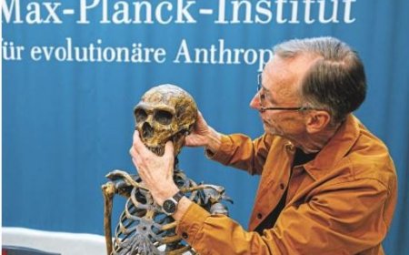 GEN ONTHULT WAAROM MENSEN NEANDERTHALERS OVERLEEFDEN