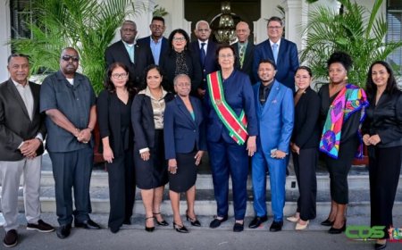 President Simons beëdigt nieuwe Staatsraad