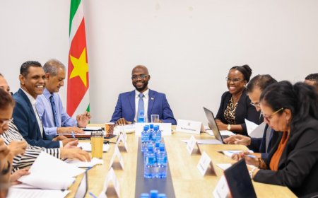 Vaste commissie DNA bespreekt begroting met minister Misiekaba