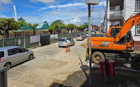 VERKEERSCHAOS EN DE “SLIMMERIKKEN”