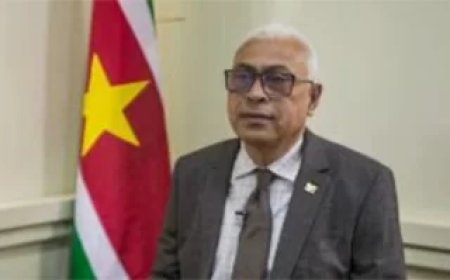 Reactie op artikel over auto-aankopen van ex-bewindslieden