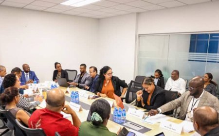 Vaste commissie van DNA voert overleg met minister Misiekaba