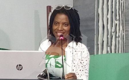 Ontwikkelingseconoom Mormon pleit voor strategisch beleid in toerisme en erfgoed