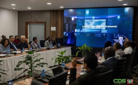 VAN COMMISSIES NAAR CRISISTEAMS:  A SYSTEEM KENKI?