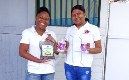 Surinaamse studenten strijden met ‘Açaiboosters’ op internationaal podium