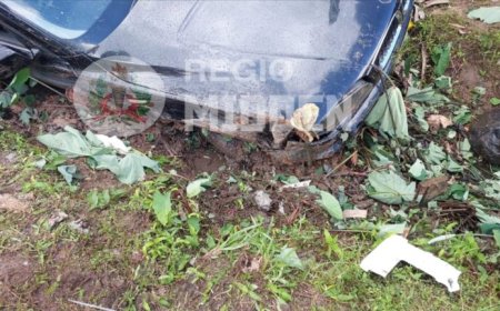 16-jarige belandt met auto in goot aan Monplaisirweg