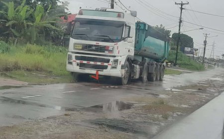 Gevaarlijk geparkeerde truck op Martin Luther Kingweg