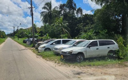 AUTOKERKHOVEN TE ALBINA