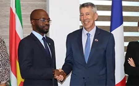 Suriname en Frankrijk verdiepen samenwerking gezondheidszorg