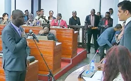 Para krijgt nieuwe stem in parlement: Michael Marengo