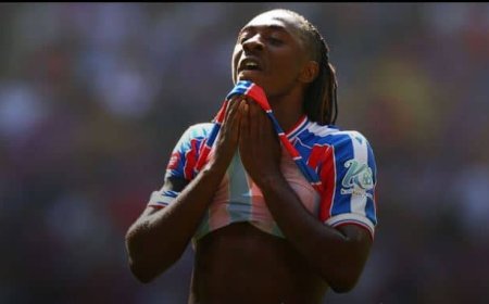 Crystal Palace verliest beroep tegen degradatie naar Conference League