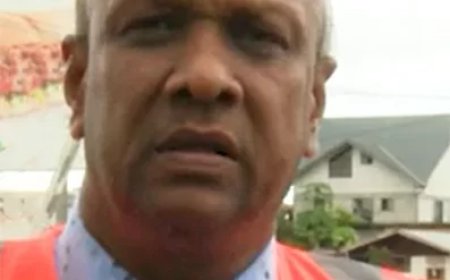 Directeur Openbaar Groen per direct ontheven wegens onregelmatigheden