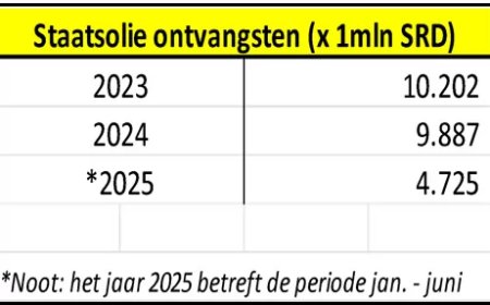 NDP-fractie eist themavergoeding over machtspositie Staatsolie
