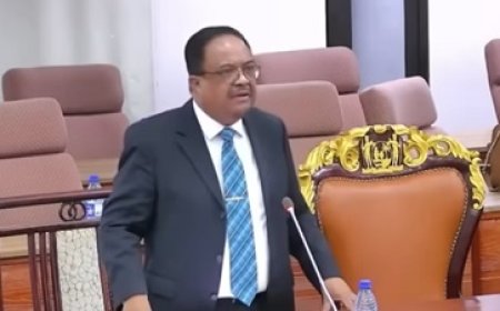 Brunswijk uit misnoegen over aanwezigheid regering in DNA