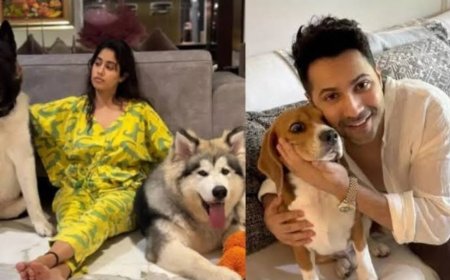 Janhvi Kapoor en Varun Dhawan tegen verwijdering zwerfhonden uit Delhi