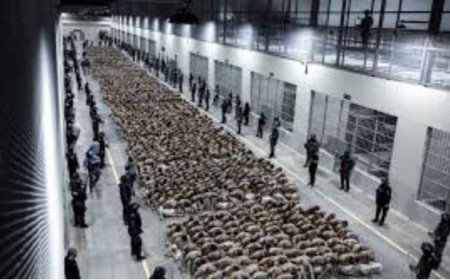 El Salvador wil detentie van bendeleden verlengen tot 2027