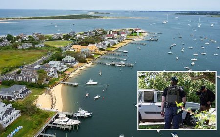 Braziliaanse vrouw in VS opgepakt en dreigt met uitzetting.