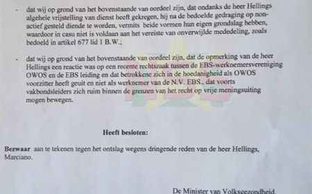 Arbeidsinspectie tekent bezwaar aan tegen ontslag OWOS-voorzitter Hellings